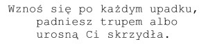 wznoś się po każdym upadku.jpg