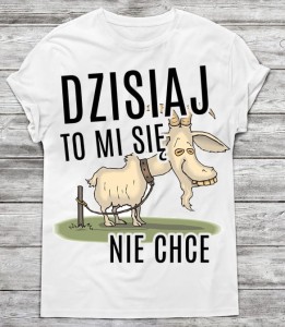 Koszulka męska  