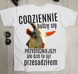 koszulka na dzień chłopaka 