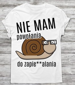 śmieszna koszulka męska