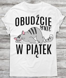 Koszulka męska na prezent 