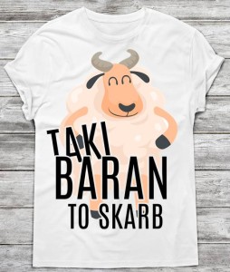 Koszulka dla chłopaka  