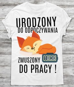 koszulka MĘSKA NA PREZENT