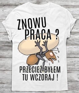 Koszulka męska na prezent 