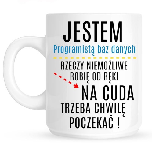KUBKE DLA Programisty baz danych.jpg
