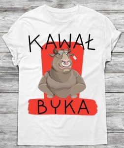 śmieszna koszulka męska na prezent 