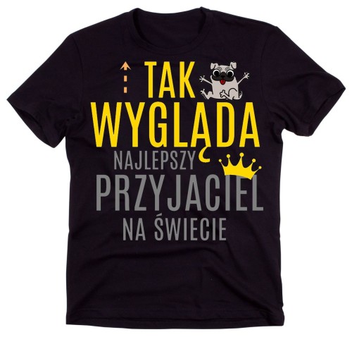 KOSZULKA DLA PRZYJACIELA.jpg