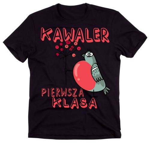 męska koszulka za zabawnym nadrukiem.jpg