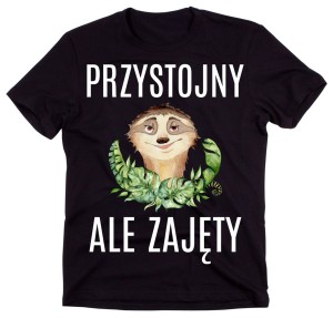 KOSZULKA PRZYSTOJNY ALE ZAJĘTY.jpg