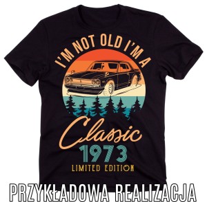 ksozulka na urodziny z samochodem V.jpg