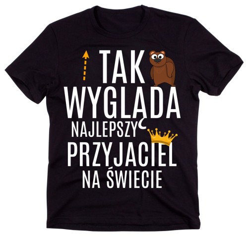 koszulka dla przyjaciela.jpg