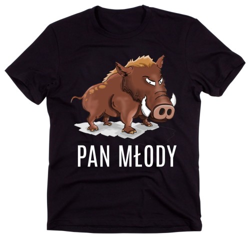 KOSZULKA NA WIECZÓR KAWALERSKI DLA PANA MŁODEGO.jpg