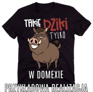 KOSZULKI DLA KOLEGÓW Z FIRMY NA PREZENT.jpg