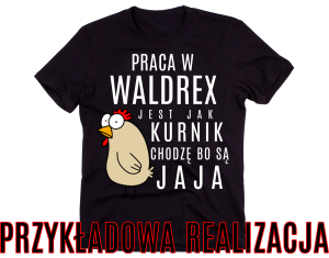 KOSZULKA DLA KOLEGÓW Z PRACY B.png
