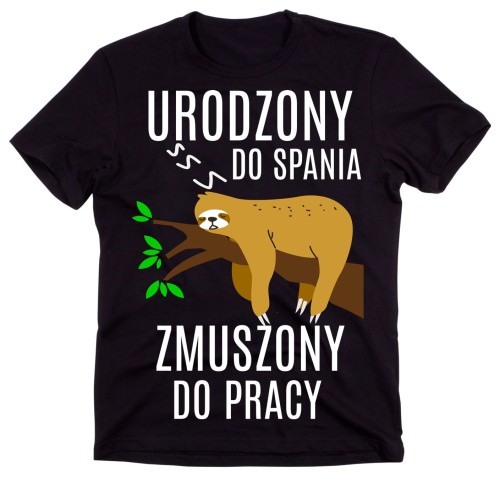 ŚMIESZNA MĘSKA KOSZULKA Z LENIWCEM.jpg