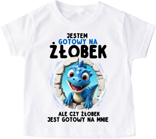 koszulka dla chłopca do żłobka DINO