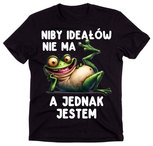 Śmieszna MĘSKA KOSZULKA niby ideałów nie ma a jednak jestem.jpg