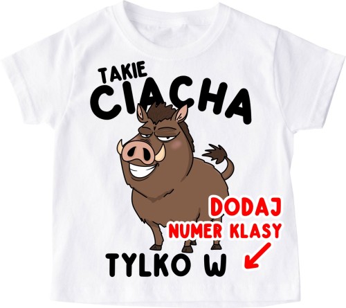 Koszulki dla kolegów z klasy na DZIEŃ CHŁOPAKA w szkole.jpg