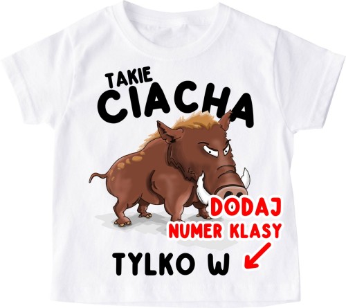 Koszulki dla kolegów z klasy na DZIEŃ CHŁOPAKA w szkole.jpg