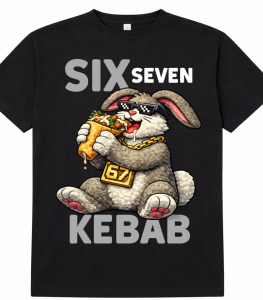 Śmieszna koszulka z kebabem  SIX SEVEN 