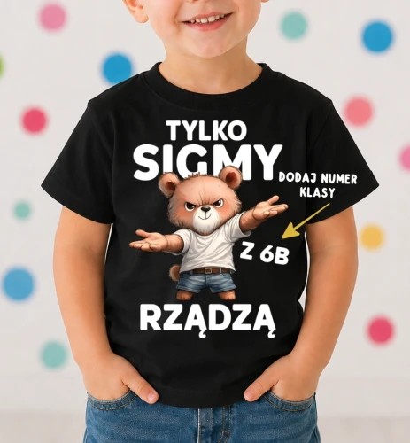 Koszulki dla kolegów z klasy na Dzień Chłopaka -  TYLKO SIGMY RZĄDZĄ.webp