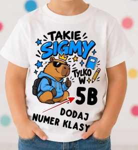 Koszulki dla kolegów z klasy - takie sigmy tylko w