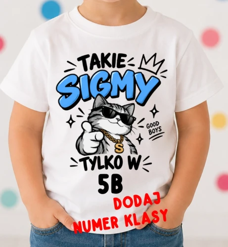 Koszulki dla kolegów z klasy - 10.webp