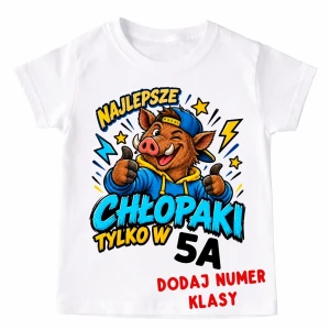 Koszulki dla kolegów z klasy - NAJLEPSZE CHŁOPAKI TYLKO W