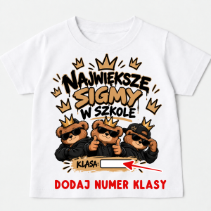 Koszulki na Dzień Chłopaka - NAJWIĘKSZE SIGMY W SZKOLE 
