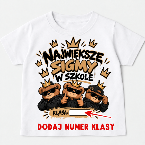 Koszulka na Dzień Chłopaka -NAJWIĘKSZE SIGMY W SZKOLE.png