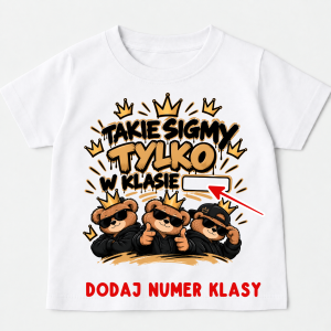 Koszulka na Dzień Chłopaka - takie sigmy tylko w klasie