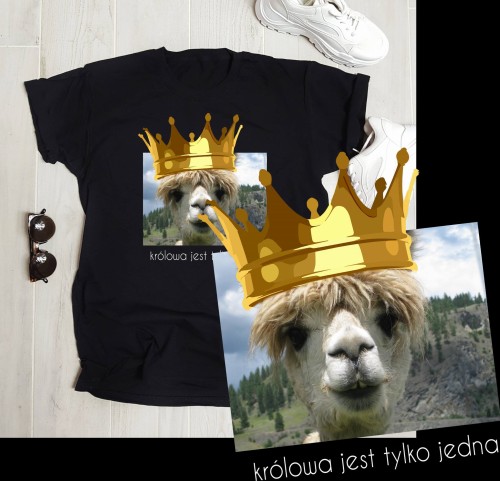 tylkuiluil.jpeg