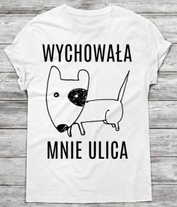 koszulka męska na prezent 