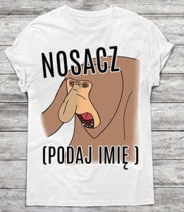 Koszulka męska     